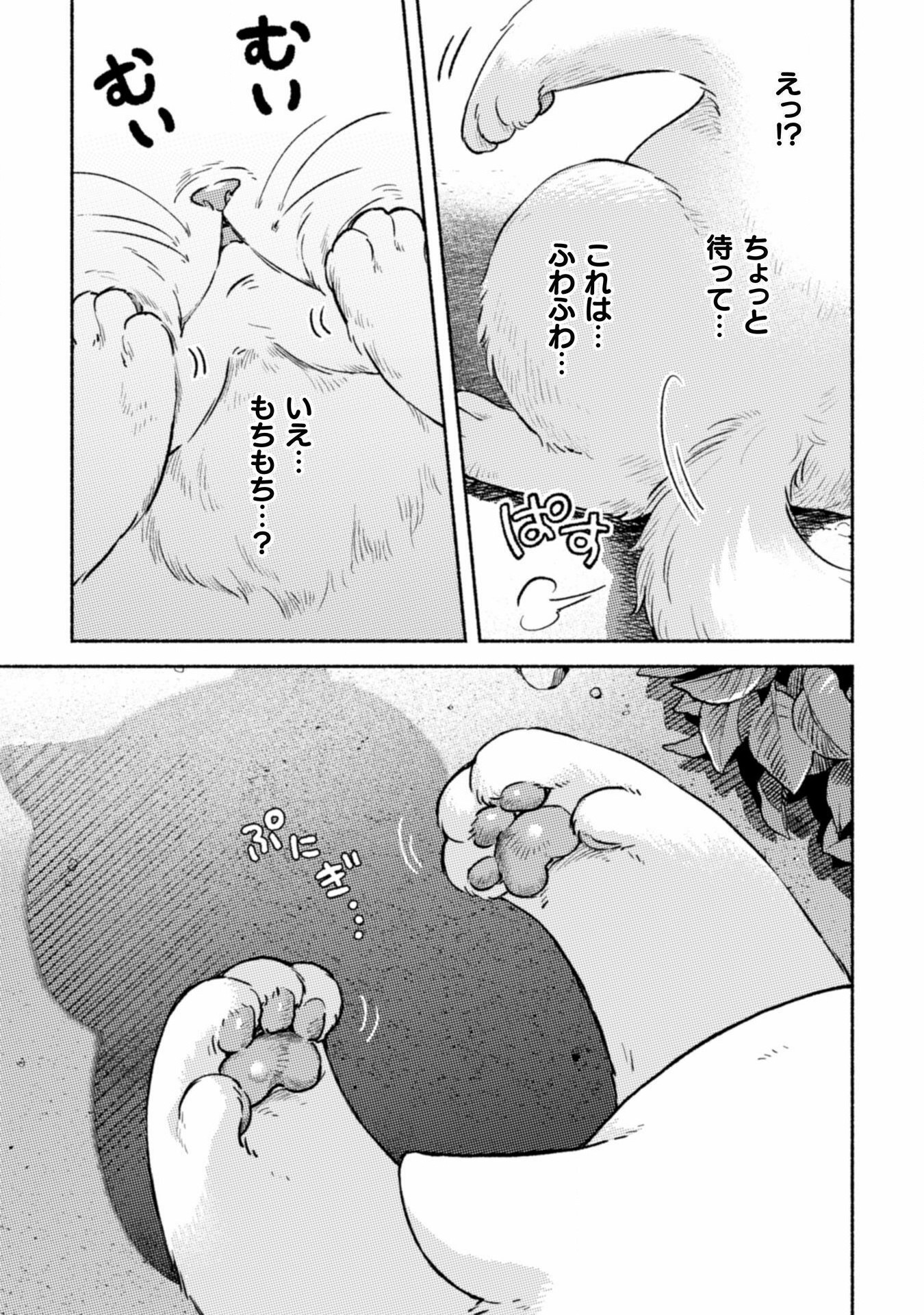 Nekura Kishi ni Yoru Dekiai Mankitsu-chuu nu Busa Neko, Jitsu wa Seijo desu! - Chapter 1 - Page 67